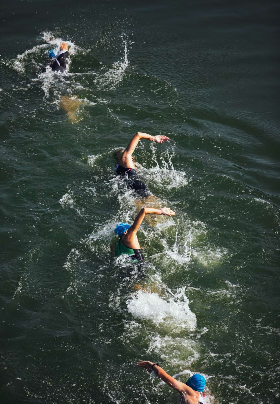 Plusieurs nageurs avec bonnets nagent en eau libre.
