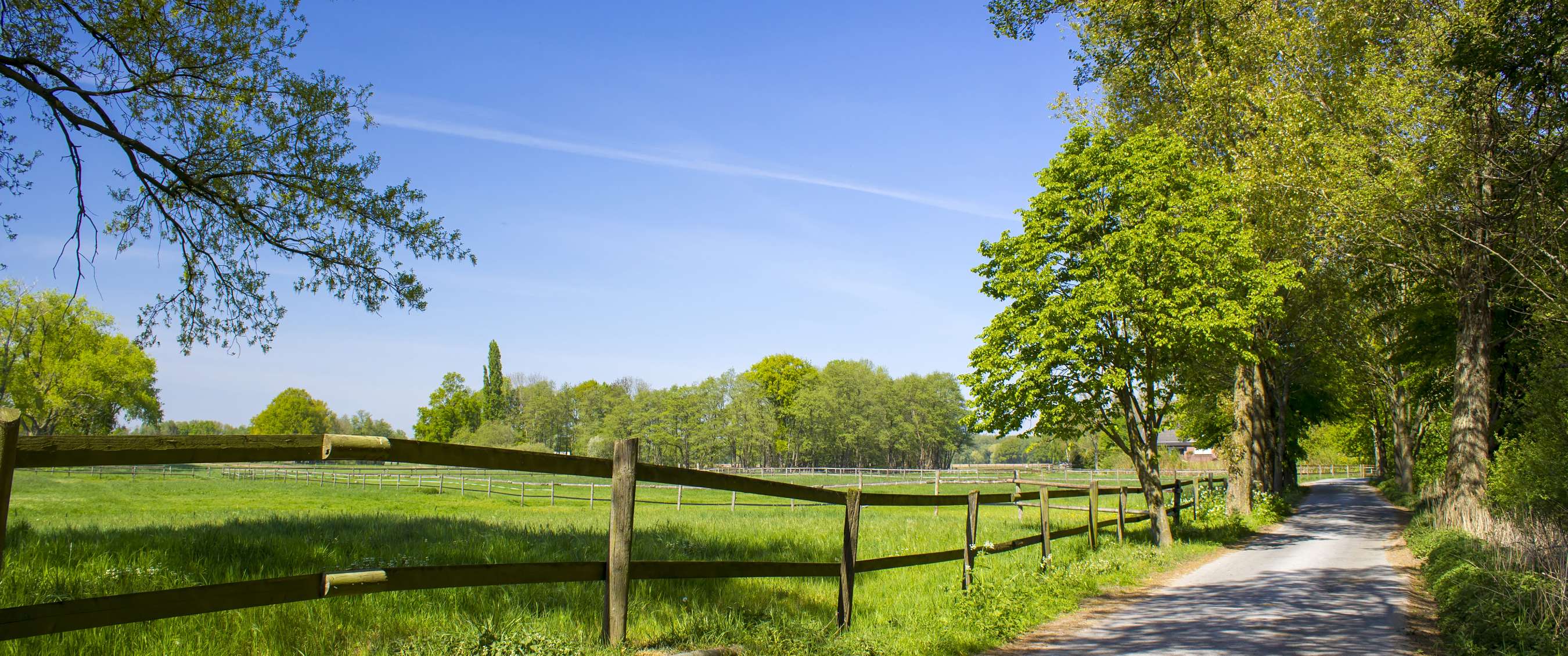 Landelijke weg langs houten hek, groene weide en bomen onder blauwe lucht.