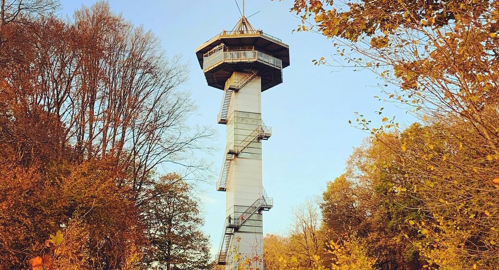 Koning Boudewijntoren in de herfst