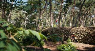 Spelende kinderen in het bos