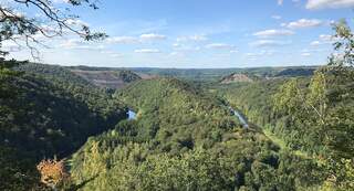 Bos van Herbeumont, voor een mooie boswandeling in België