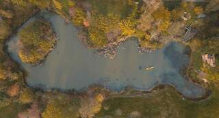 Mooi bos The Forest met boomhut om te overnachten in België