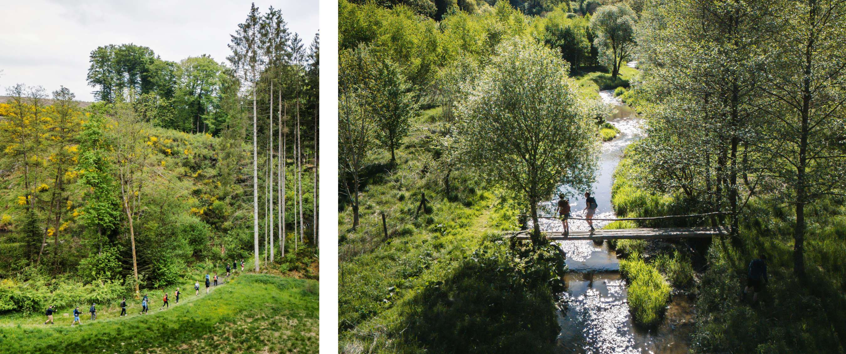 Deux images : randonneurs suivant un sentier entre de grands arbres dans un paysage vallonné ; deux personnes traversant une passerelle en bois au-dessus d’une rivière.