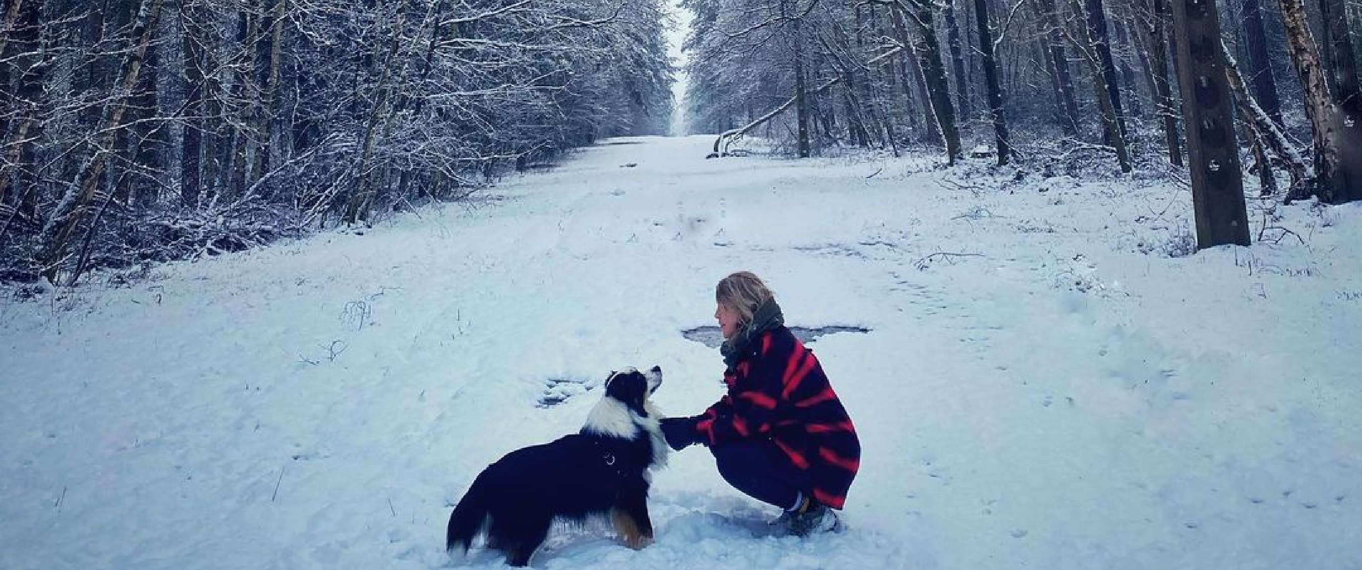 Interaction entre une personne et un chien sur une route forestière enneigée